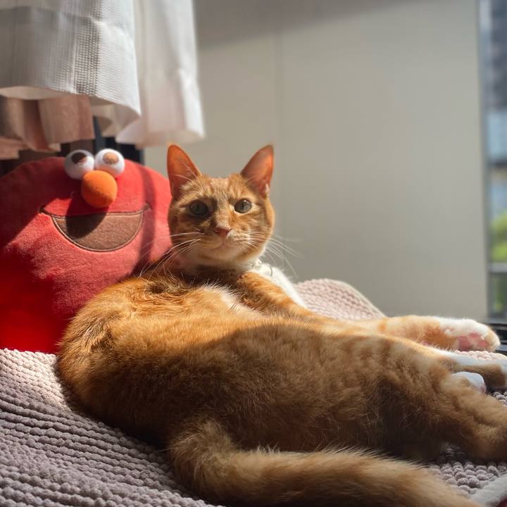 Fffb6d50 417d 4054 b034 284afac6f2bd 1651133885899