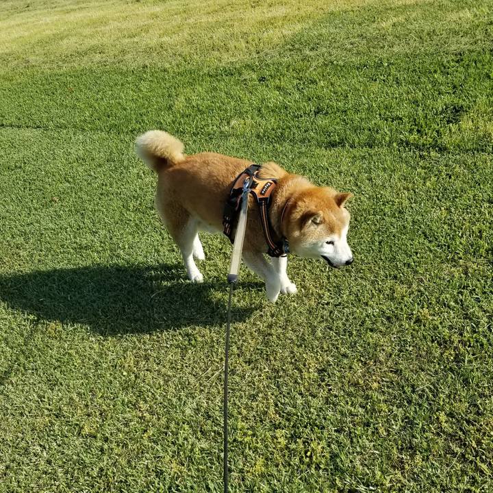 Fffb8adc f2f9 4b8b 81d0 642913a141d0 1715325380373