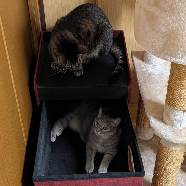 Fffb9f9d 12de 4e9c b41c ae265b4f3396 1760159930637