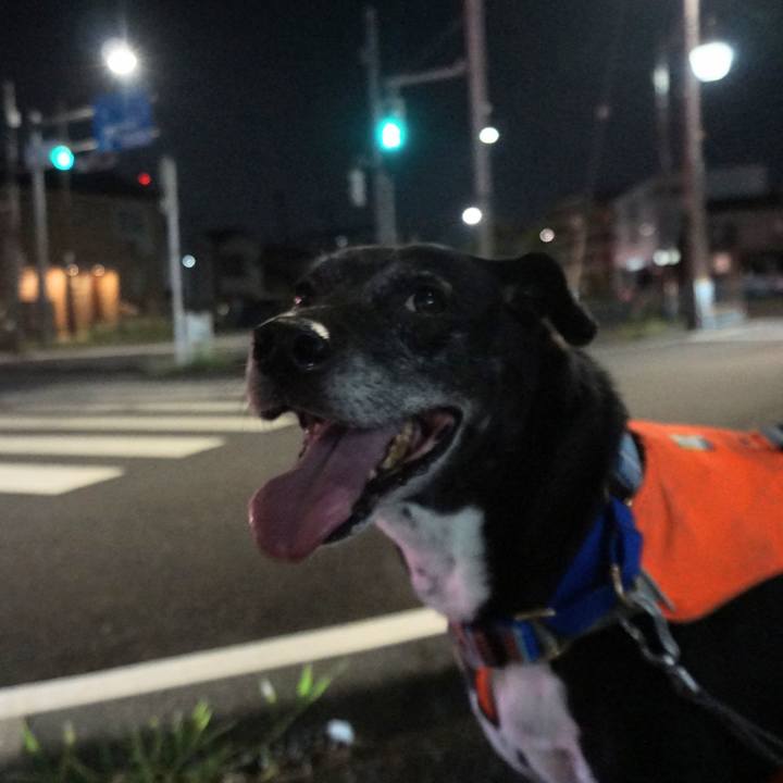 Fffbb7cc 1178 4f7c 995e 4d7c50873476 1755860305345