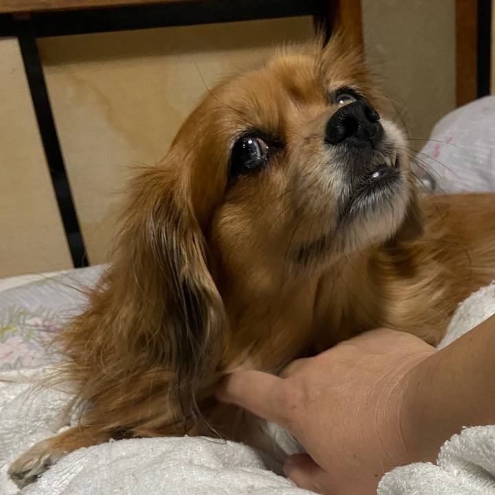 Fffbd34c 9541 41cf b2e8 ee1e2000f1f5 1667771691120