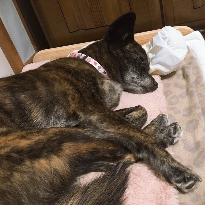 Fffbd553 2a79 46ea a0a7 81471ef237c7 1552405541889