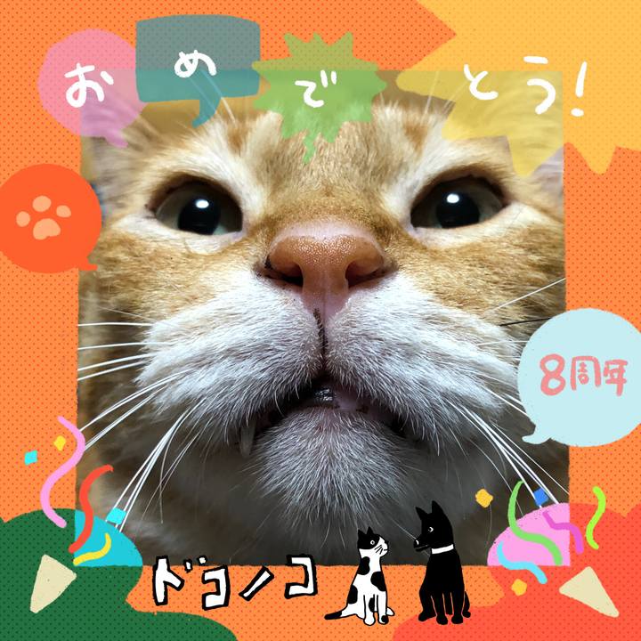 Fffbeedf 933b 46fb 9616 7b39dfec6589 1717826557502