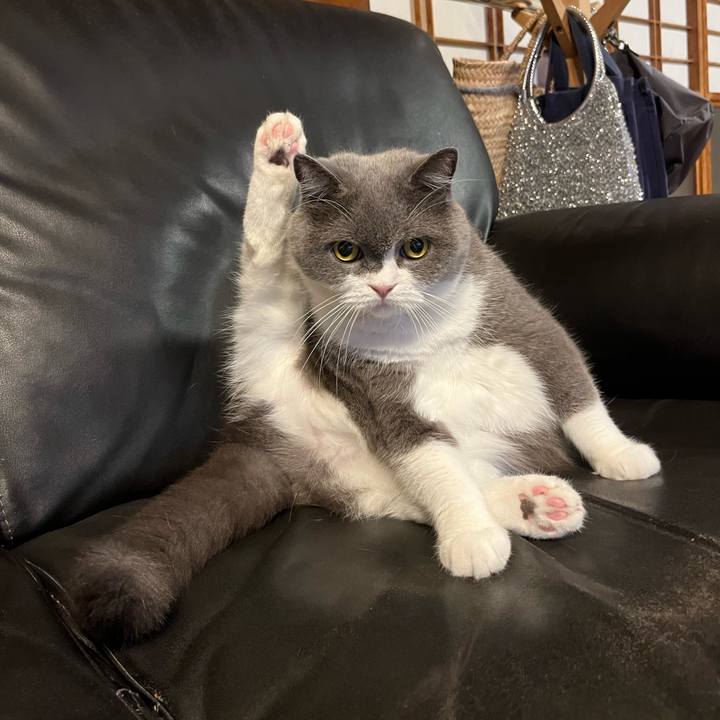 Fffc133d 9e8b 413a b804 62515f7ecdc9 1726536507620