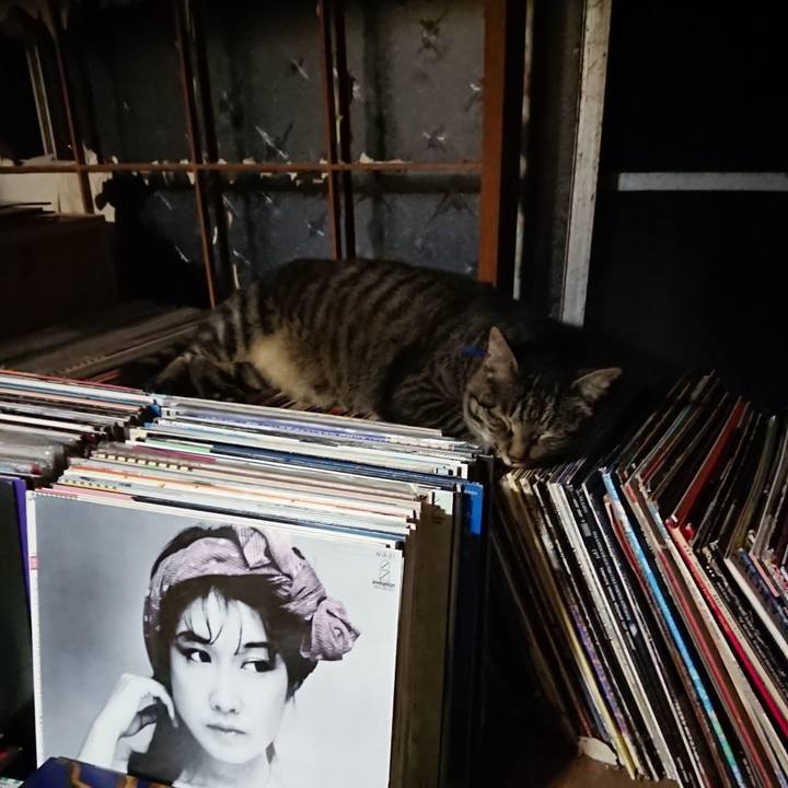 Fffc1f34 f645 4767 b252 2868698d9407 1657024248853