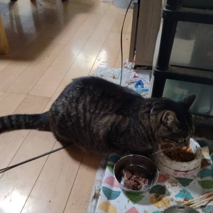 Fffc2241 e8be 4ee8 8580 2da24f88bb9c 1691190088474