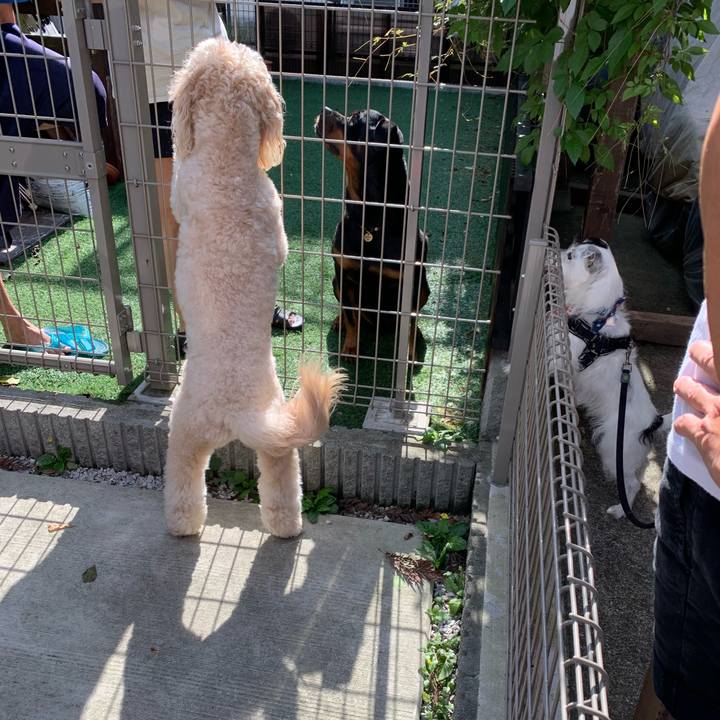 Fffc277f cf6a 4801 8314 64a48a677700 1660520462013