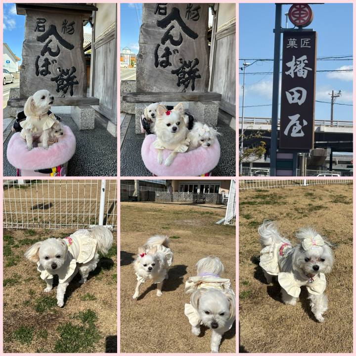 Fffc318a 829d 4eed bcf3 6e697bd02f54 1741343462494