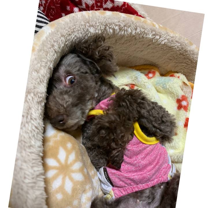 Fffc60c7 b99b 4392 909f 8e42267719e1 1588505576575