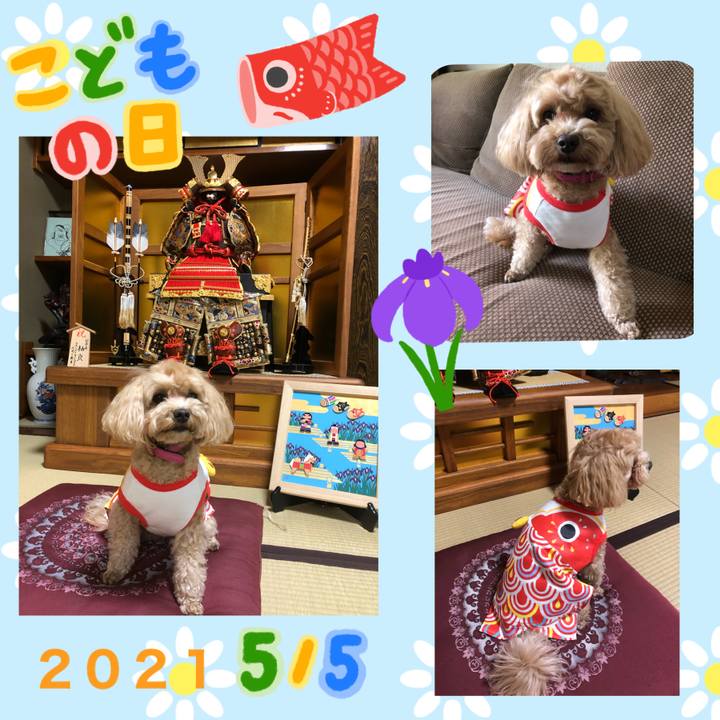 Fffc7f1e dcd9 4e9e 8e4b 519f4f09f8e9 1620156455479