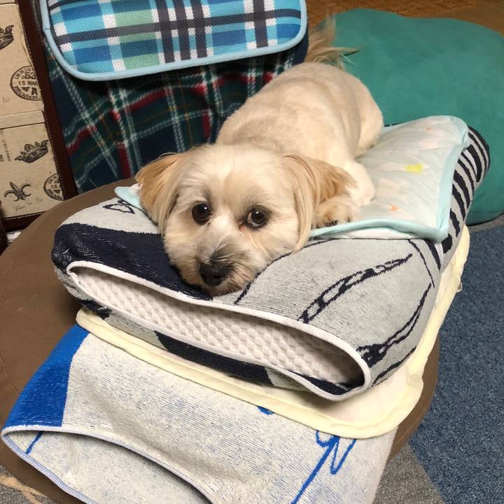 Fffc9f5f 9c6d 425c bfeb b7f06c86db1b 1507814673733