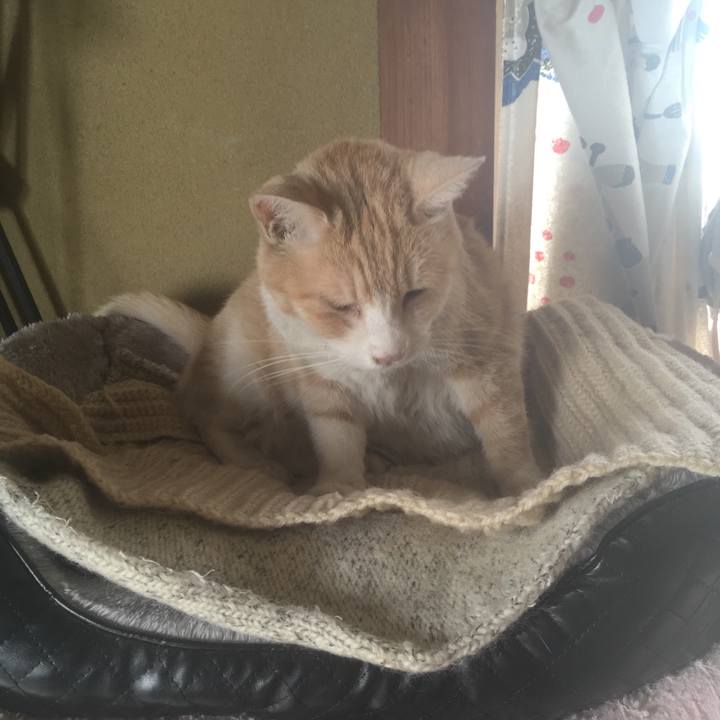 Fffcc1b3 ddba 40ac b3a1 81edb051cc44 1543658842712