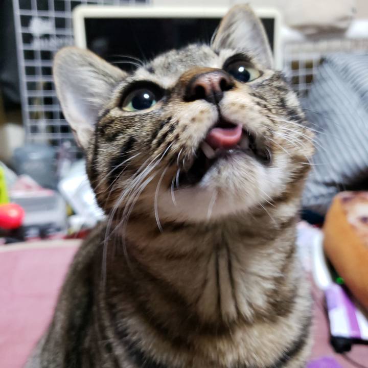 Fffce244 9e86 466c b8fd 1838b96462d0 1545480333001