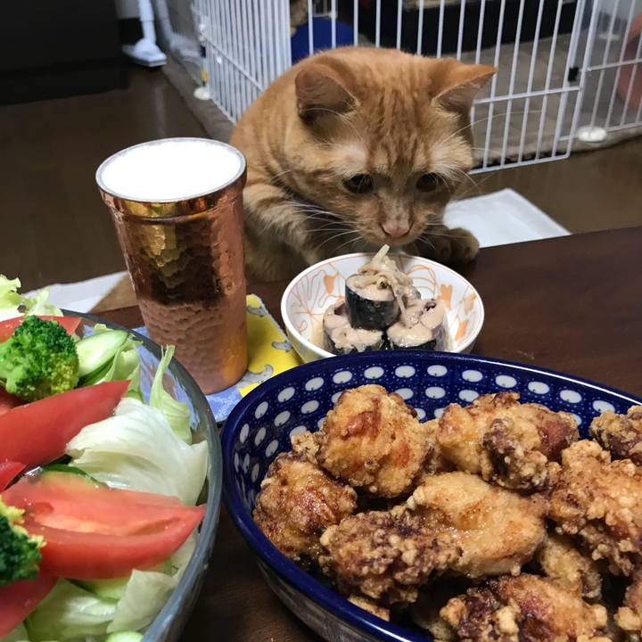 Fffd3631 9a7a 4d58 8ae2 dd9857d43fa0 1539862006068