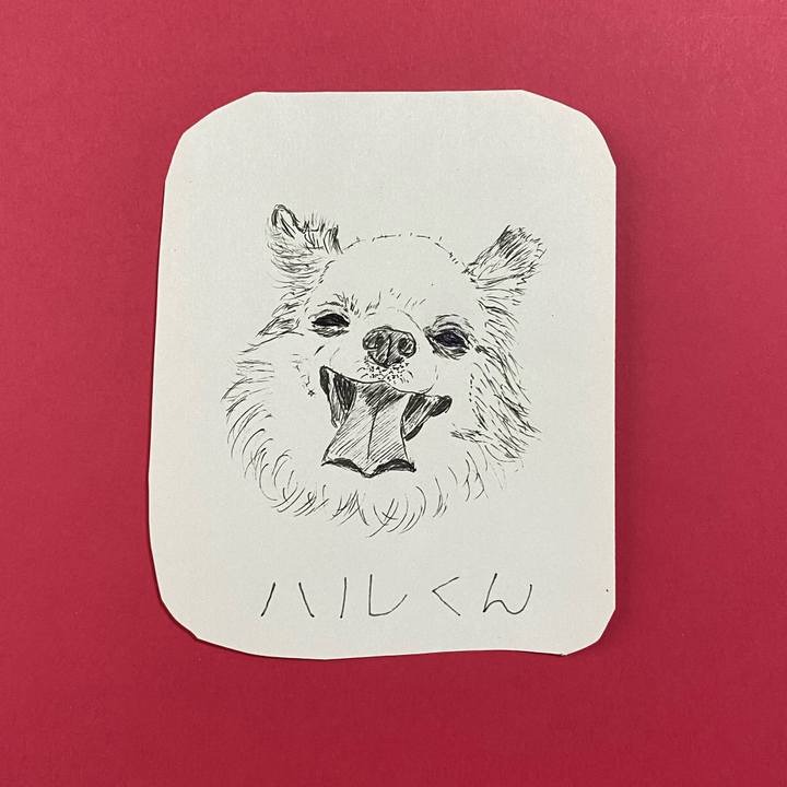 Fffd3c90 092e 4e3c 862b 898507f342ad 1619574389662