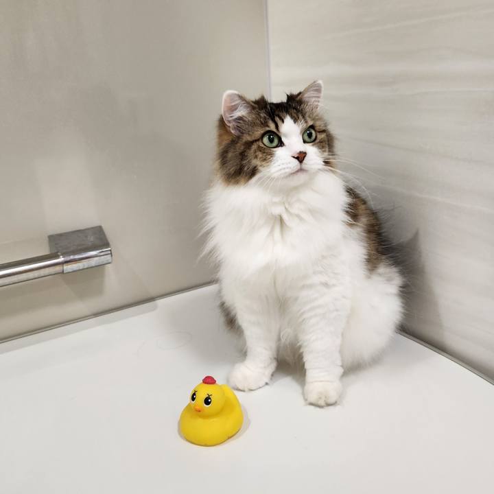 Fffd6bad e2cc 489c 8fa7 9483f7d60c4d 1756469434067