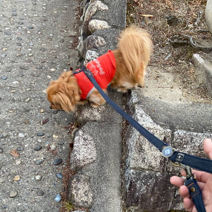 Fffda8f7 7555 4829 9995 a86cd34e3b92 1582581961466