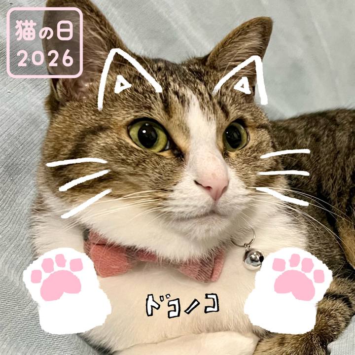 Fffdadc7 ed01 4c00 a625 ccc9ae1874be 1771705933756