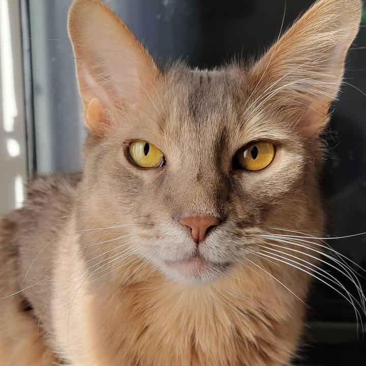 Fffdd8e4 c576 41d7 bdcb f51f449f22ab 1636767593398