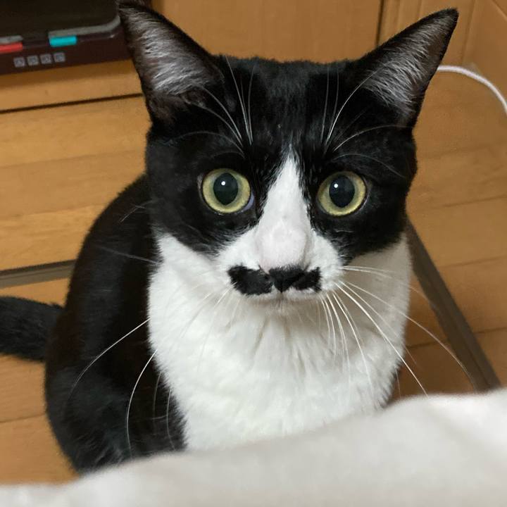 Fffdd9f0 01c6 4401 bf00 c4f573318171 1723127735295