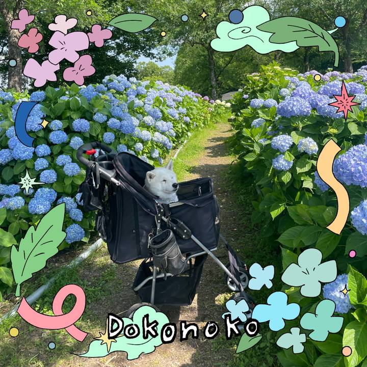 Fffddddf 1dce 4705 9e7f d84e911c66c9 1717849892723