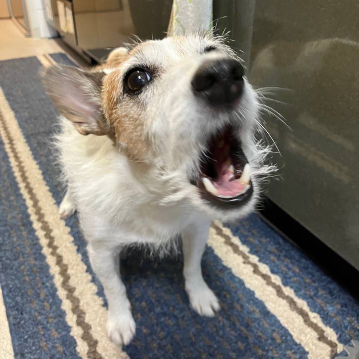 Fffde850 ed30 46a3 8e0e c691c952d710 1695003446363