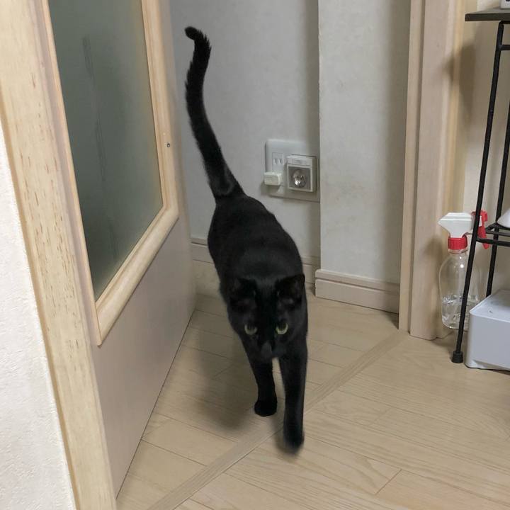 Fffdeeee 0d6c 4c7f bec7 a265e9e7a779 1617198495893