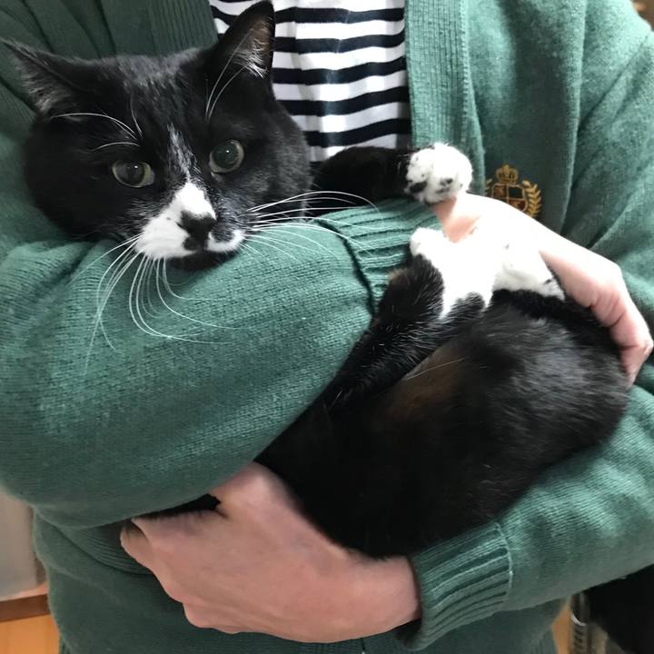 Fffe4040 2a19 4720 a44f fa75429e0c55 1649042819263