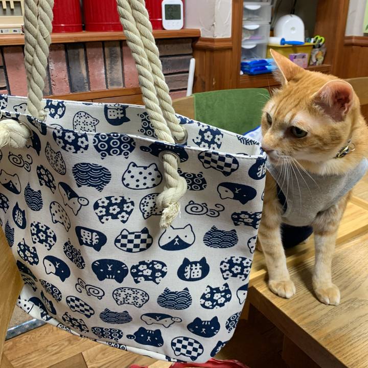 Fffe777e e29a 4d22 91b5 de9b6874501d 1619266002248