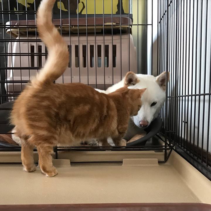 Fffec91a a476 410d 8b3d bc9767b9e584 1510303703647