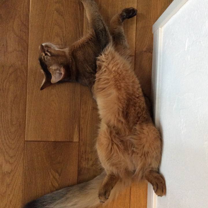 Fffeeddc c184 4822 ad4f c3859558cdc3 1565157928320