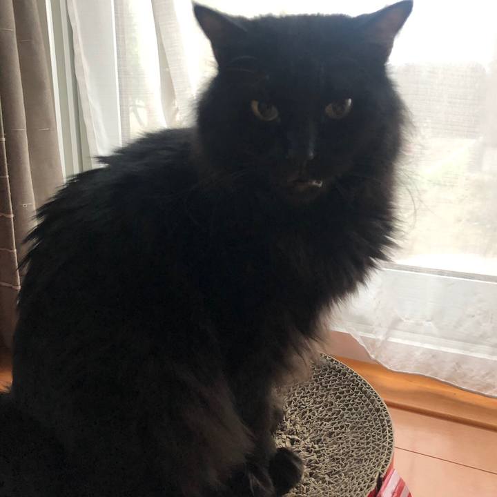 Ffff4dc9 ddf8 4777 b810 7556602cdbc6 1562253371968