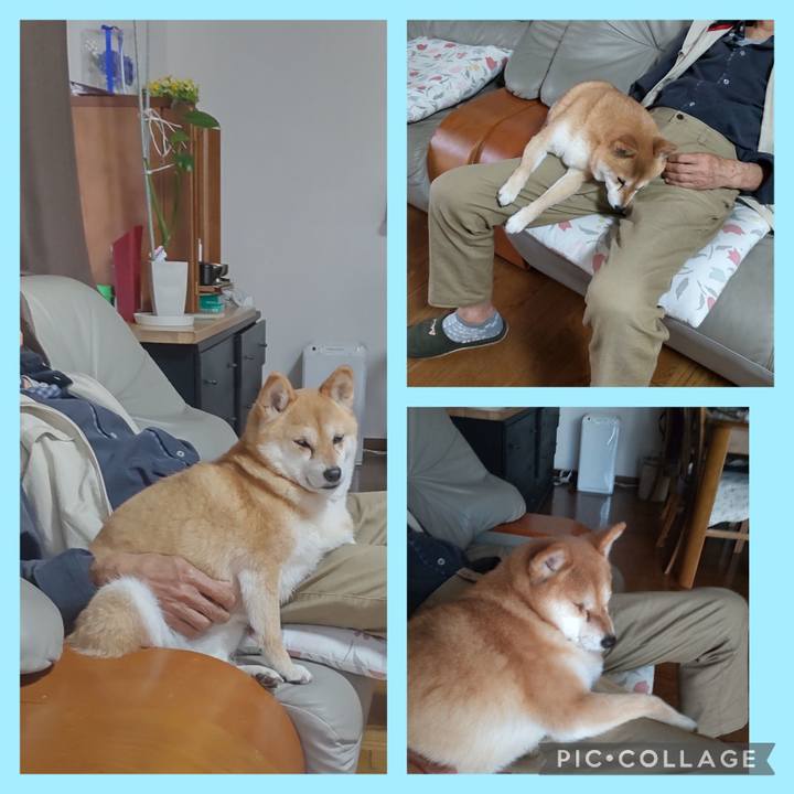 Ffff71f9 588e 43d3 970c 092835fa1601 1745220916324