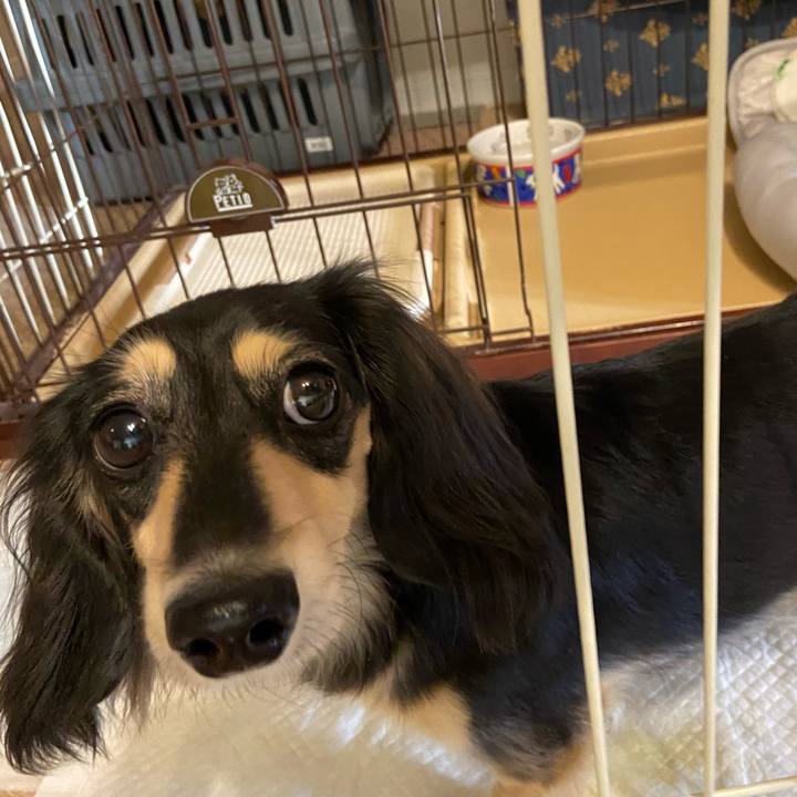 Ffff751d cfdf 423c 9cc7 128d99d5ea73 1731017636984