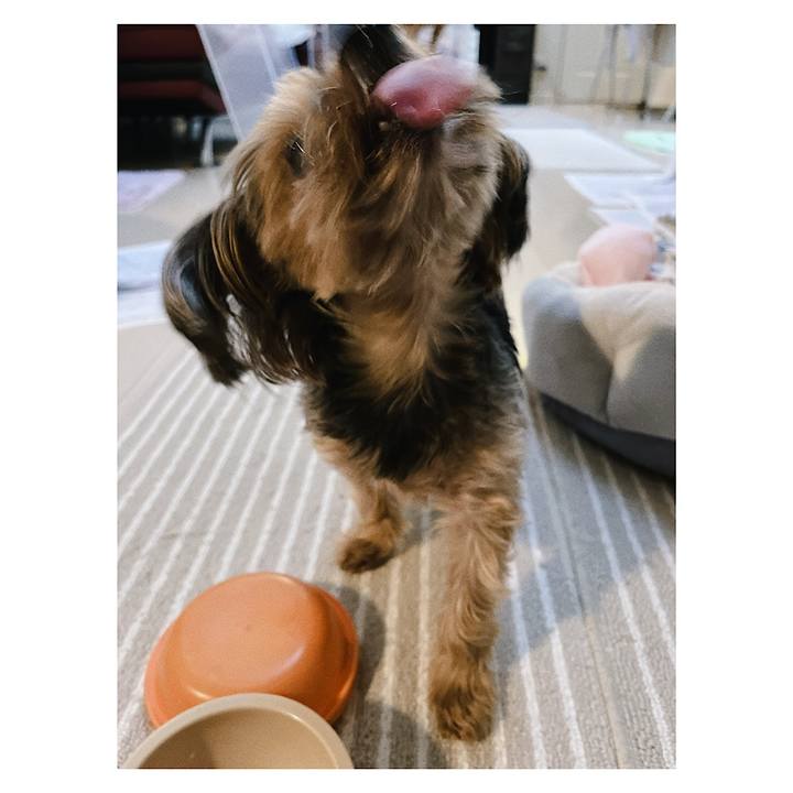 Ffffbeb8 d91b 411d 9788 8f92c6edd4cc 1665391766617