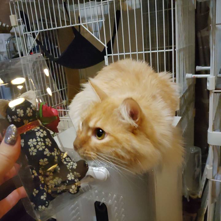 Ffffd1bd 2600 4cc3 979b 13d73fc4903e 1671354961114