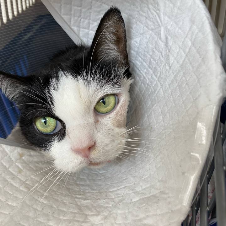 Fffff2f8 c648 4d36 98d6 8284dc5165a3 1654929495306