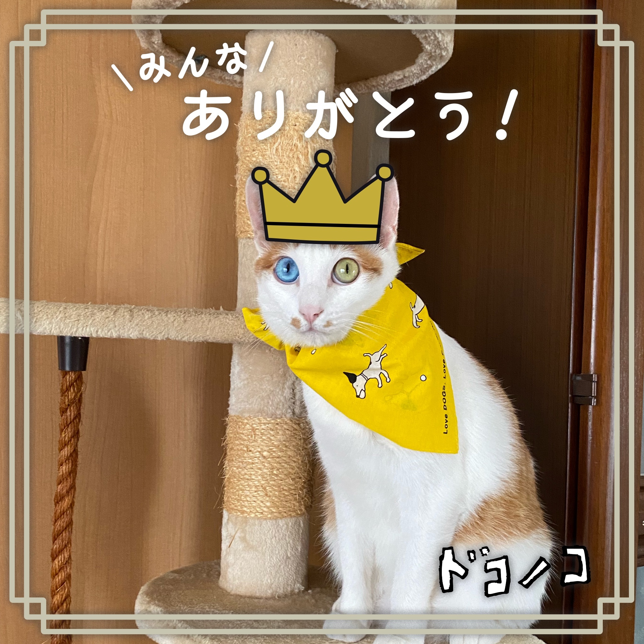 Dokonoko - ☆ゆず☆