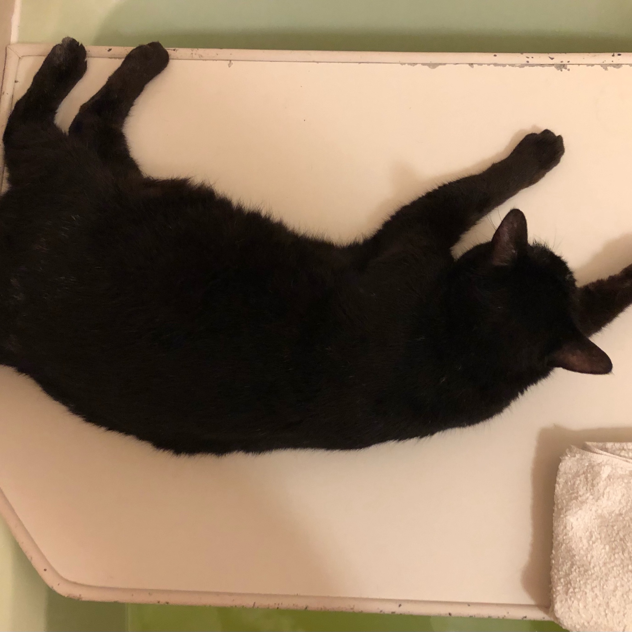 Dokonoko - ムーさん